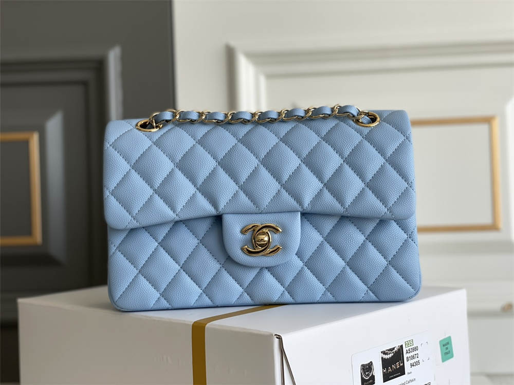 Chanel classic flap 23cm 2025 new 